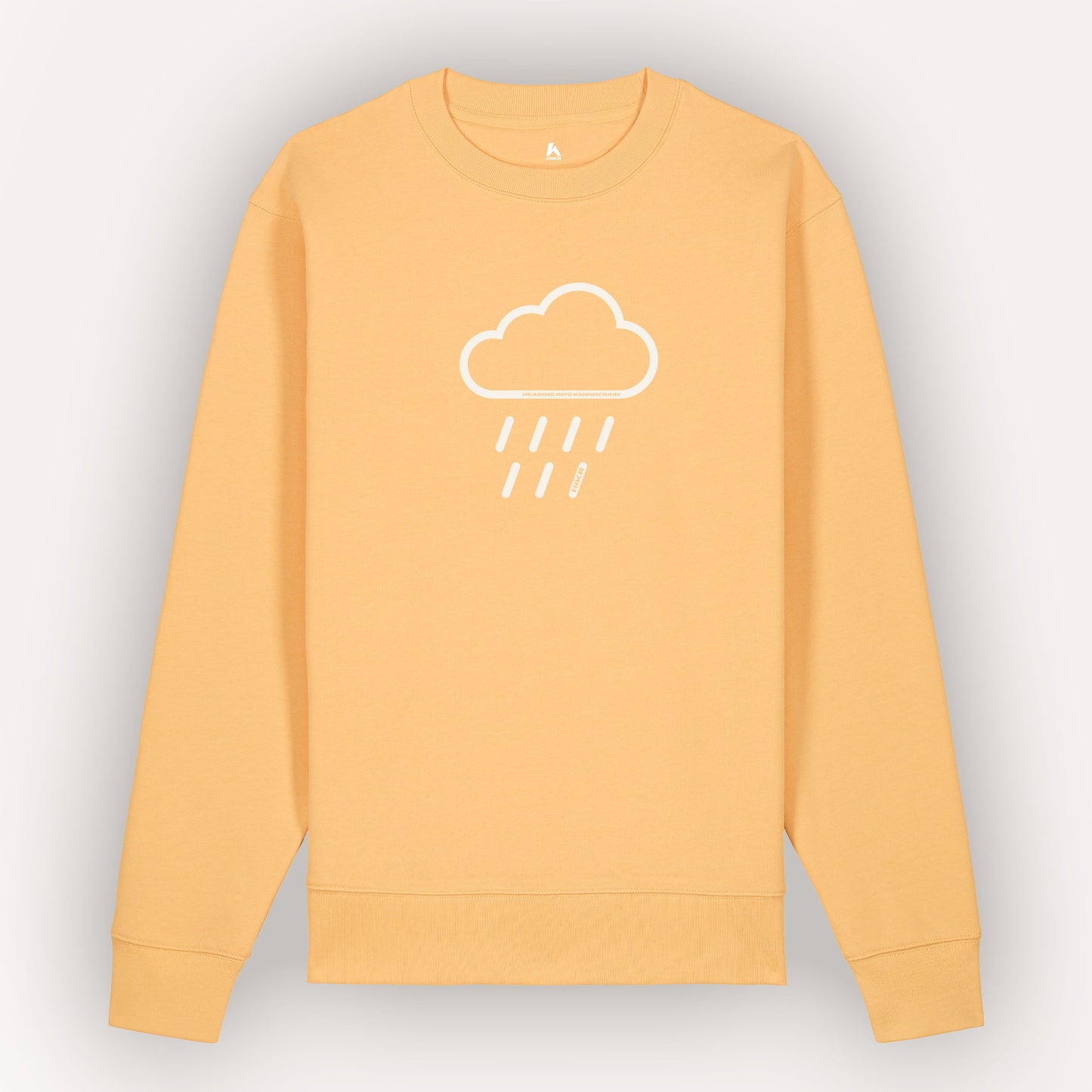 Heading Into Known Rain 100% Organic Cotton Sweater